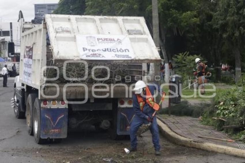 GOBIERNO ESTATAL . FAENA INTEGRAL SEGURIDAD
