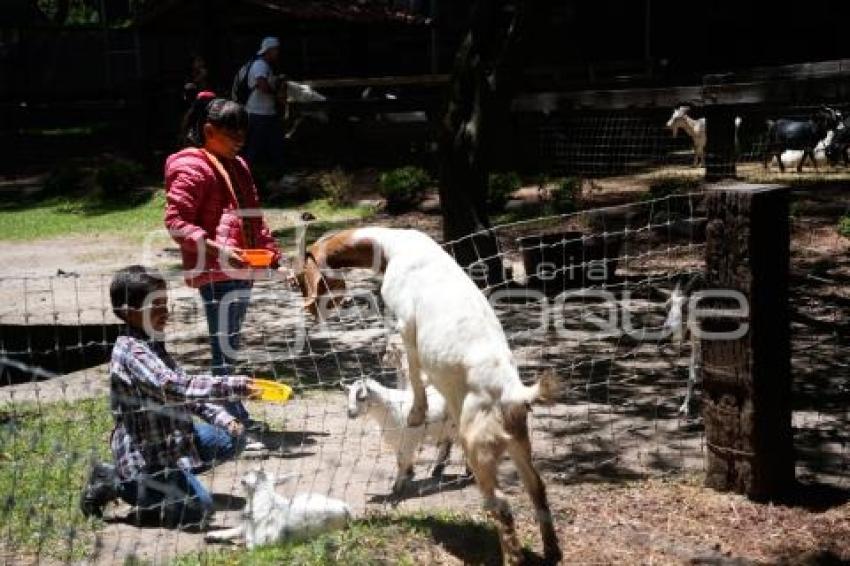 TLAXCALA . ZOOLÓGICO DEL ALTIPLANO