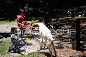 TLAXCALA . ZOOLÓGICO DEL ALTIPLANO
