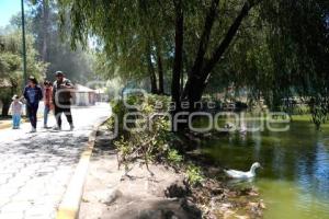 TLAXCALA . ZOOLÓGICO DEL ALTIPLANO