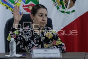 IEE . SOFÍA MARISOL MARTÍNEZ