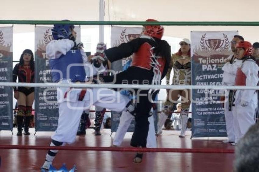 GOBIERNO ESTATAL . ACTIVACIÓN DE BOX