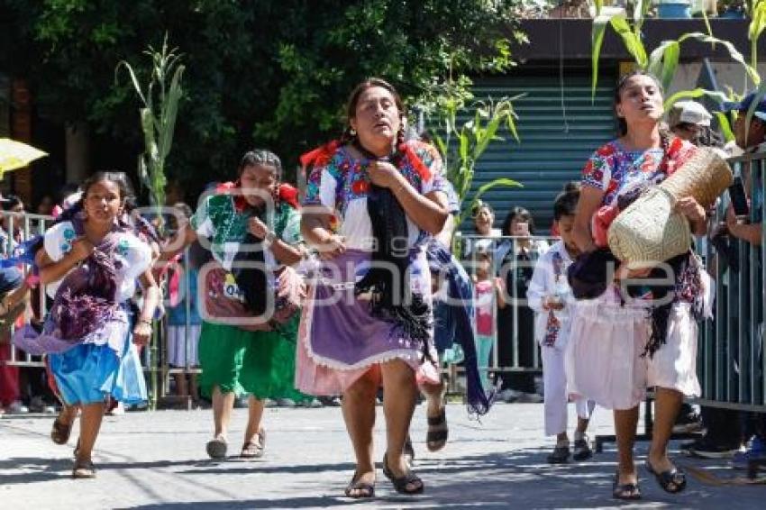 CARRERA DE LA TORTILLA