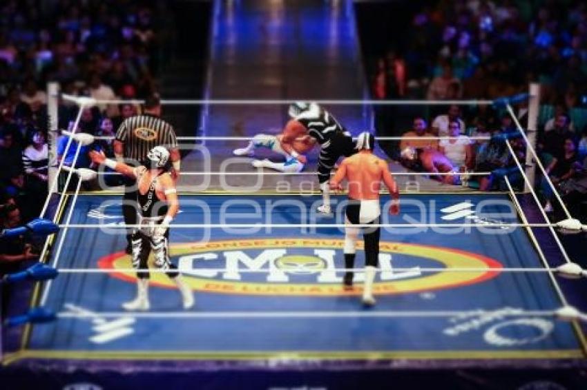 LUCHA LIBRE