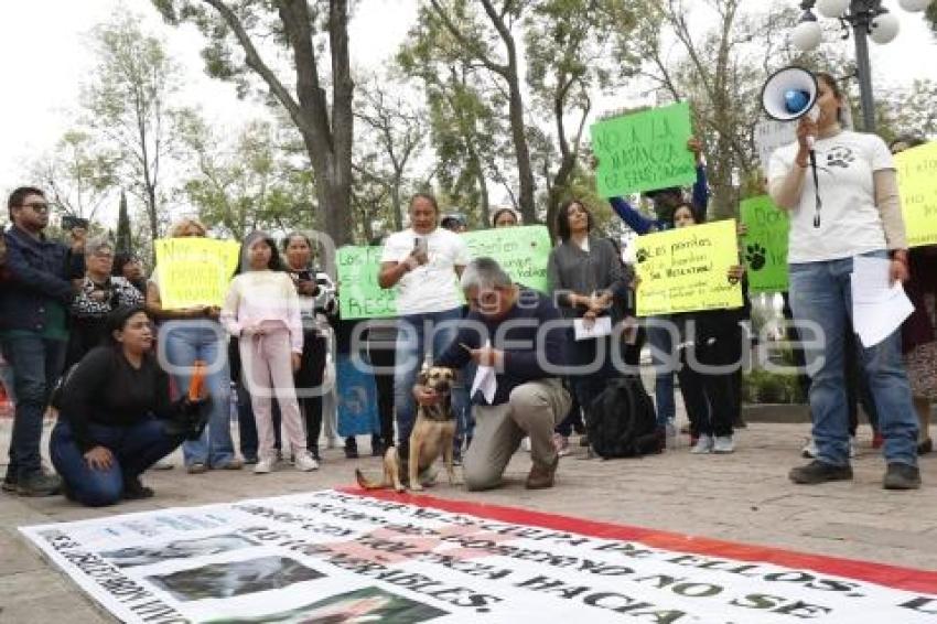 TLAXCALA . MANIFESTACIÓN DE ANIMALISTAS
