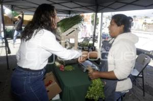 SAN ANDRÉS CHOLULA . JORNADA DE PROXIMIDAD