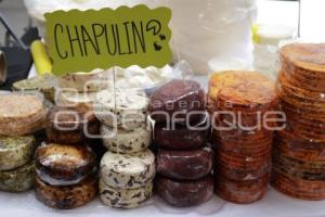 SAN ANDRÉS CHOLULA . 24 FERIA DEL QUESO