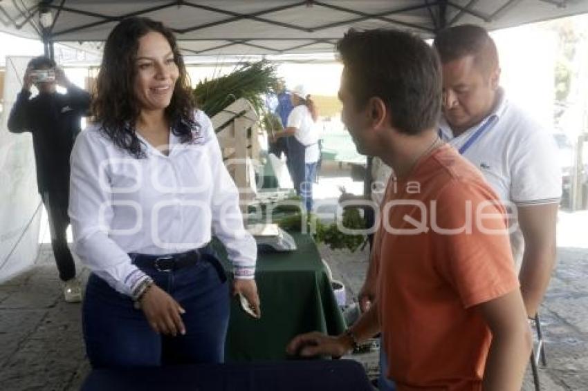 SAN ANDRÉS CHOLULA . JORNADA DE PROXIMIDAD