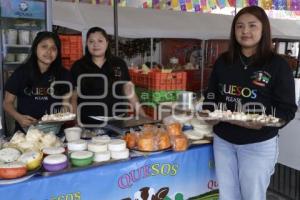 SAN ANDRÉS CHOLULA . 24 FERIA DEL QUESO