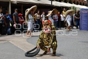 FESTIVAL 7 LENGUAS