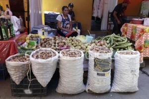 CALPAN . PRODUCTORES DE FRUTA