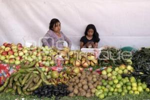 CALPAN . PRODUCTORES DE FRUTA