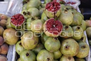 CALPAN . PRODUCTORES DE FRUTA