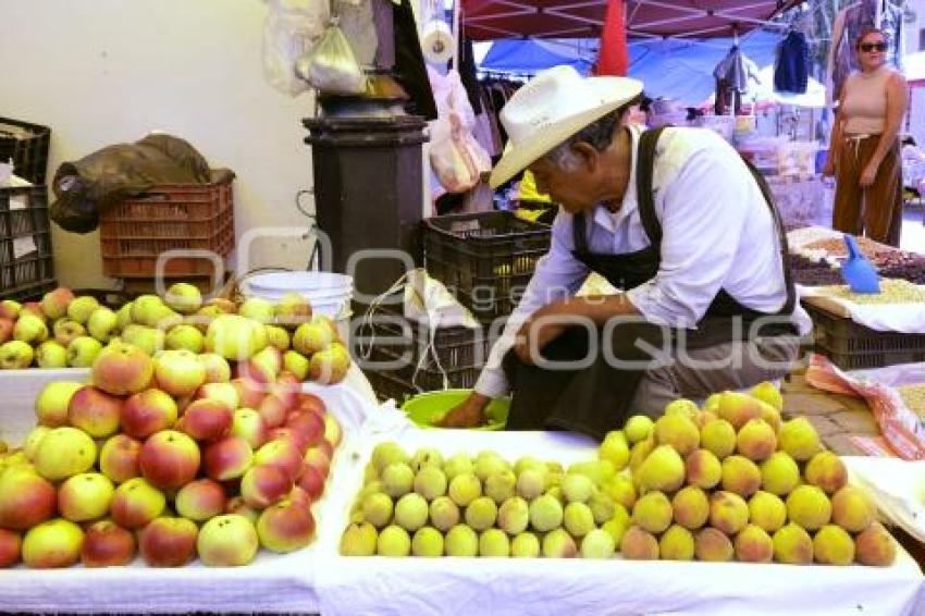 CALPAN . PRODUCTORES DE FRUTA