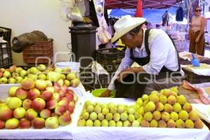 CALPAN . PRODUCTORES DE FRUTA