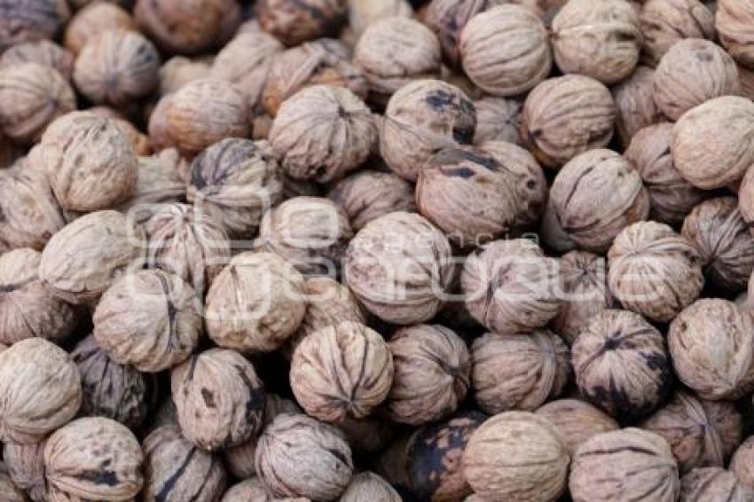 CALPAN . PRODUCTORES DE FRUTA
