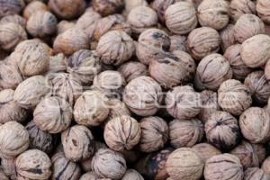 CALPAN . PRODUCTORES DE FRUTA