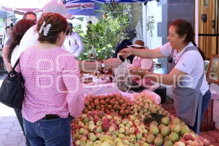CALPAN . PRODUCTORES DE FRUTA