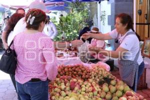 CALPAN . PRODUCTORES DE FRUTA