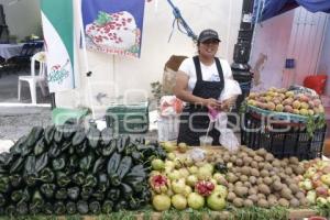 CALPAN . PRODUCTORES DE FRUTA