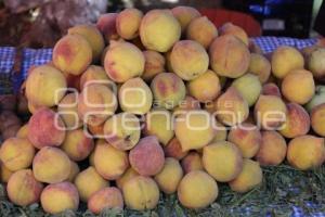 CALPAN . PRODUCTORES DE FRUTA
