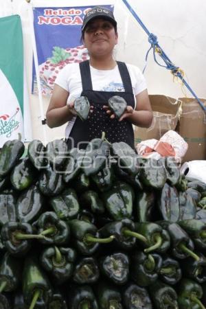 CALPAN . PRODUCTORES DE FRUTA