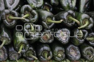 CALPAN . PRODUCTORES DE FRUTA