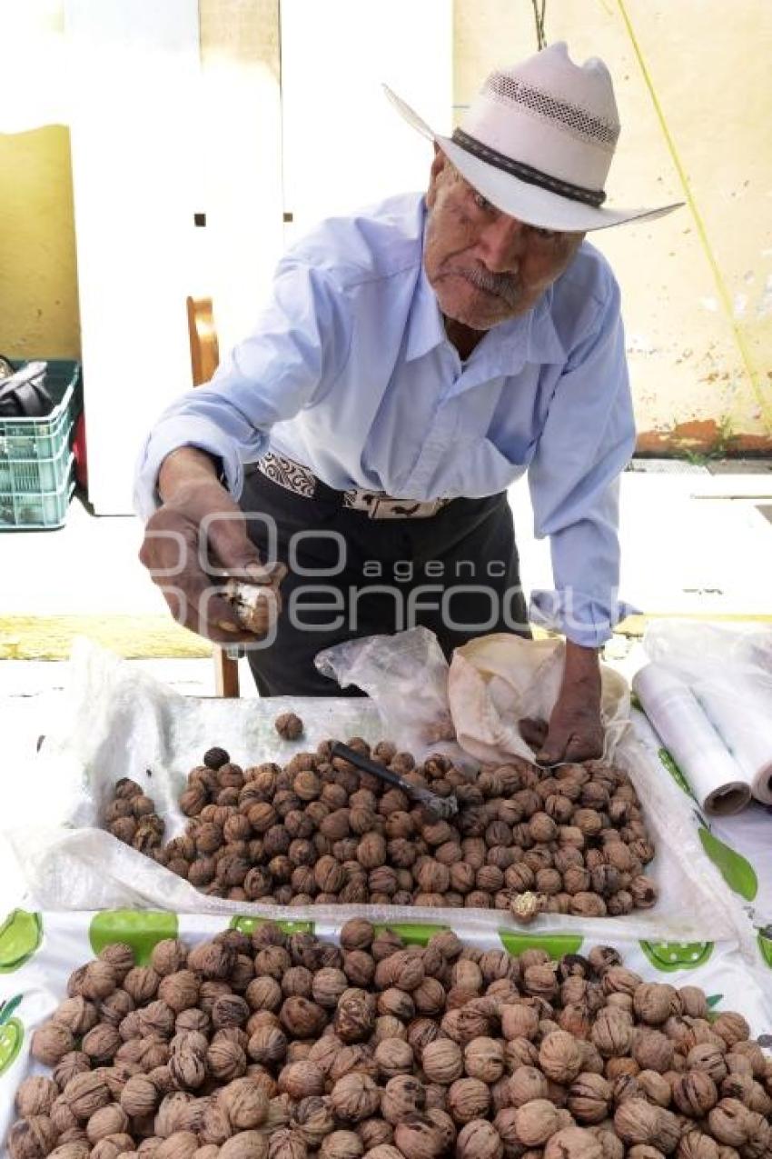 CALPAN . PRODUCTORES DE FRUTA