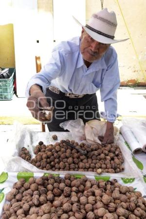 CALPAN . PRODUCTORES DE FRUTA