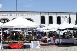 TLAXCALA . FESTIVAL DE SUCULENTAS