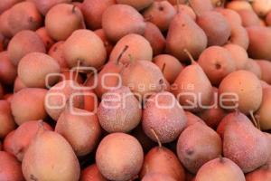 CALPAN . PRODUCTORES DE FRUTA