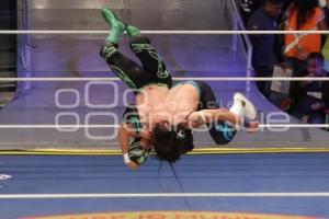 LUCHA LIBRE