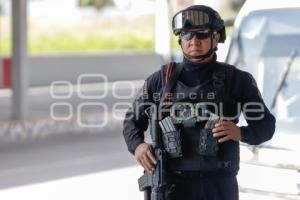 RUTA . OPERATIVO K9