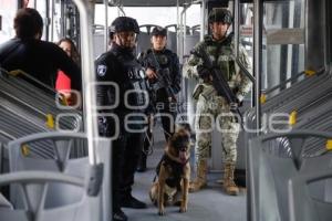 RUTA . OPERATIVO K9