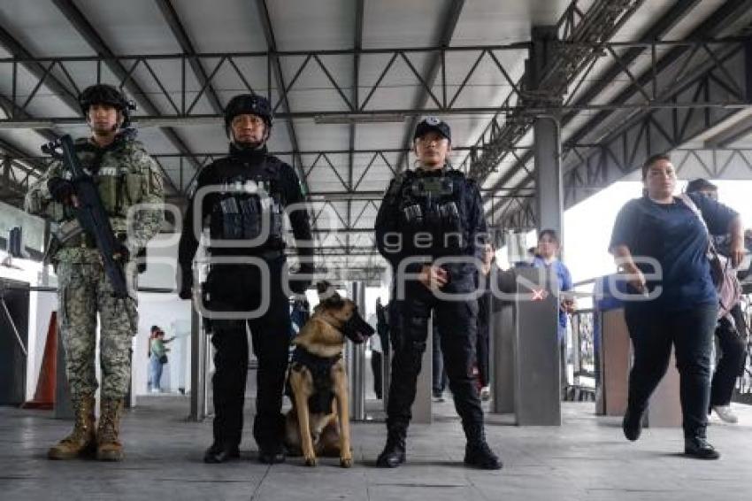 RUTA . OPERATIVO K9