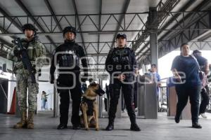 RUTA . OPERATIVO K9