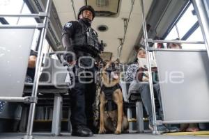 RUTA . OPERATIVO K9