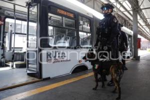 RUTA . OPERATIVO K9