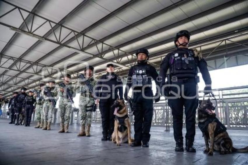 RUTA . OPERATIVO K9