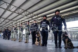 RUTA . OPERATIVO K9