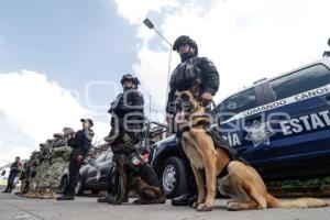 RUTA . OPERATIVO K9