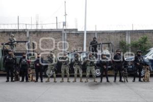 RUTA . OPERATIVO K9
