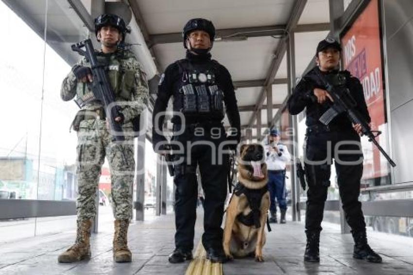 RUTA . OPERATIVO K9