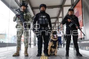 RUTA . OPERATIVO K9