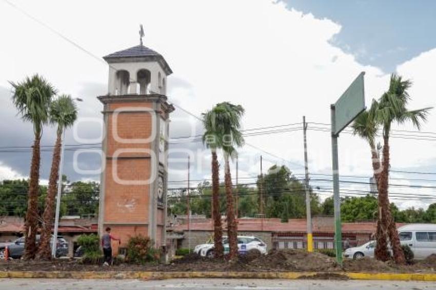 BULEVAR HERMANOS SERDÁN . PALMERAS