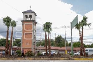 BULEVAR HERMANOS SERDÁN . PALMERAS