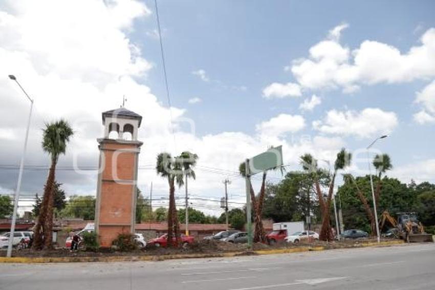 BULEVAR HERMANOS SERDÁN . PALMERAS