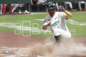 BÉISBOL . PERICOS VS CAMPECHE