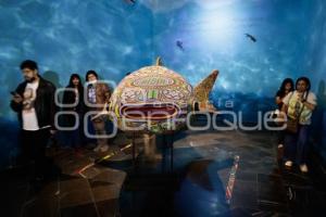 NOCHE DE MUSEOS