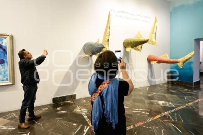 NOCHE DE MUSEOS